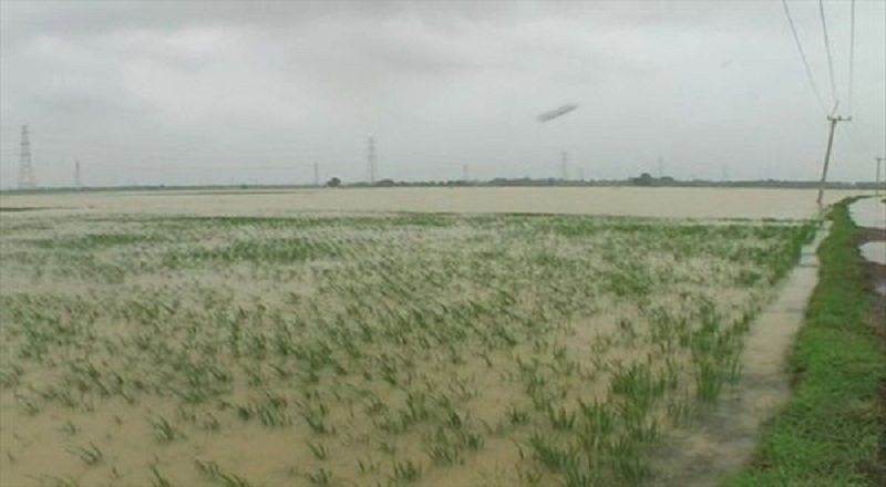 banjir bengkulu