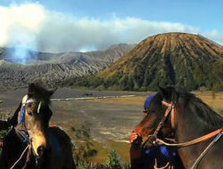 Menikmati Bromo dengan Prokes Ketat