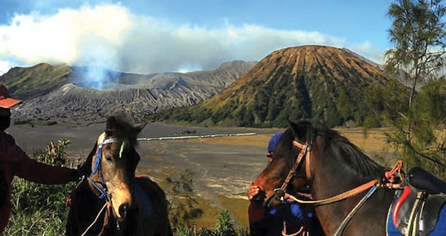 Menikmati Bromo dengan Prokes Ketat