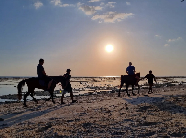 5 Tempat Wisata di Lombok Yang Lagi Hits: Harga, Daya Tarik, Lokasi