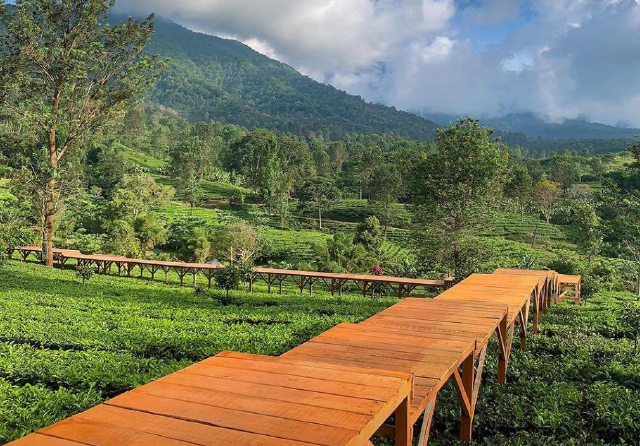 5 Wisata Puncak Bogor Terbaru Yang Wajib Dikunjungi di Akhir Pekan