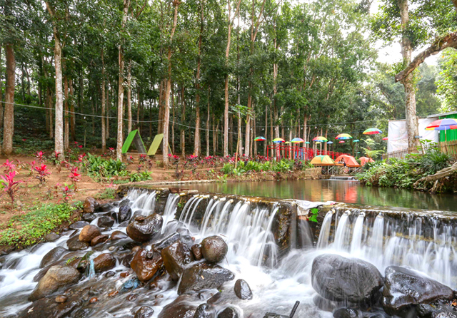 Mengunjungi Rengganis Forest Park, Jember