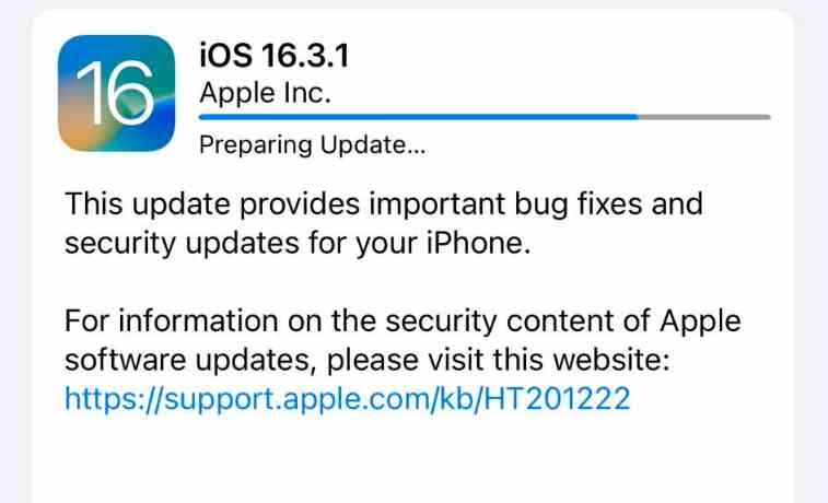 Update Software iOS 16.3.1