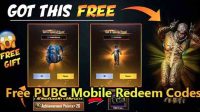 pubg mobile redeem