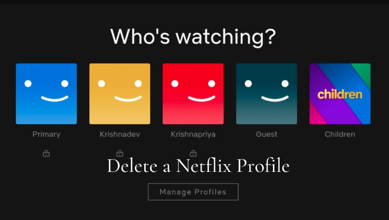 Netflix profile