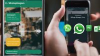 cara membuat link whatsapp di instagram