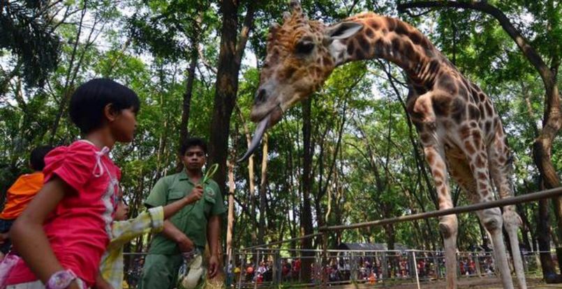 taman safari siapa yang punya