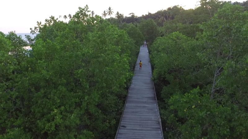 wisata alam Pantai Joronga