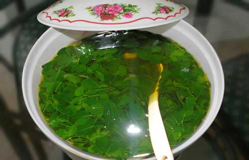 sayur daun kelor