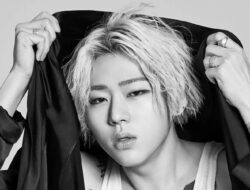 Zico Block B dan Seolhyun